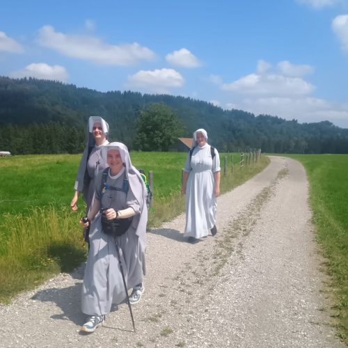 Foto 25 di 44