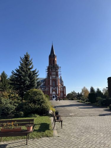 Foto 7 di 13