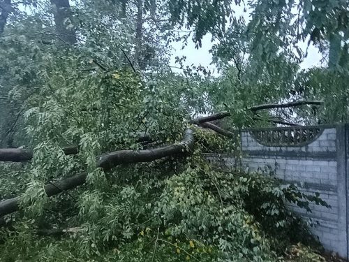 Foto 3 di 28