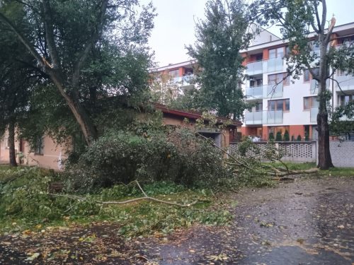 Foto 6 di 28