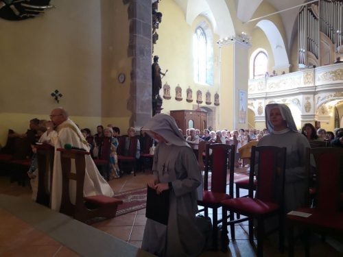 Foto 4 di 8