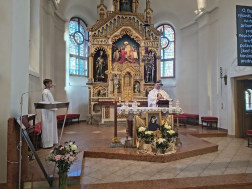 Foto 5 di 12