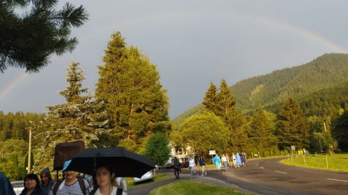 Foto 13 di 40